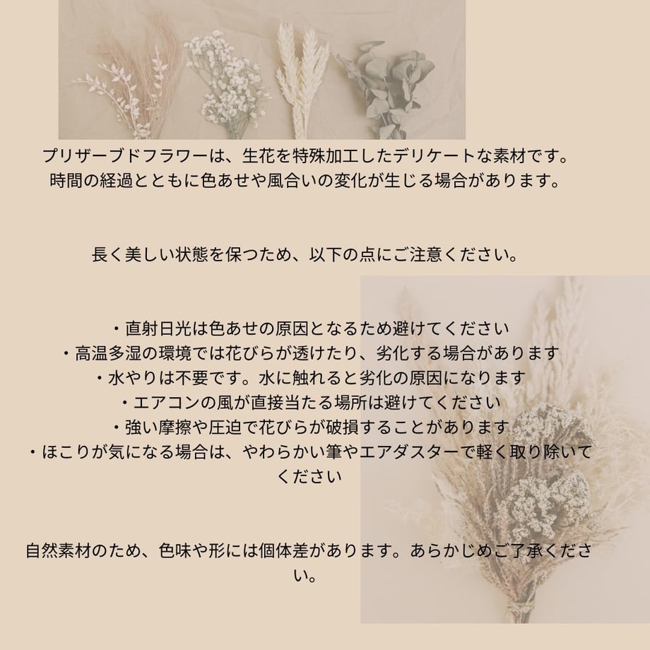 6aa9080bbd81d3e4ddcf04a8