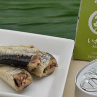 【日本のみのり】いわし缶