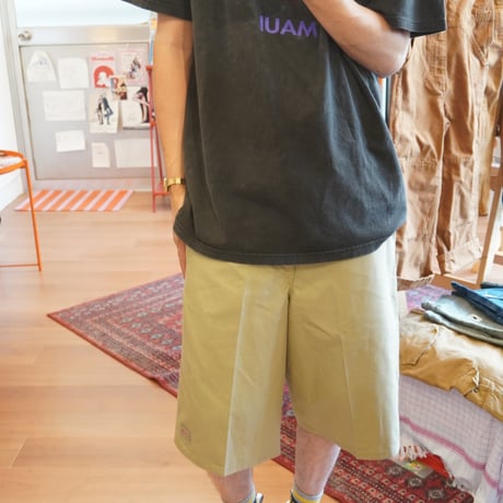Dickies half pants ✴︎19