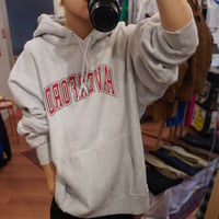 champion reverse weave hoodie
