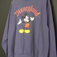 Disney sweat