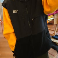 THE NORTH FACE fleece vest