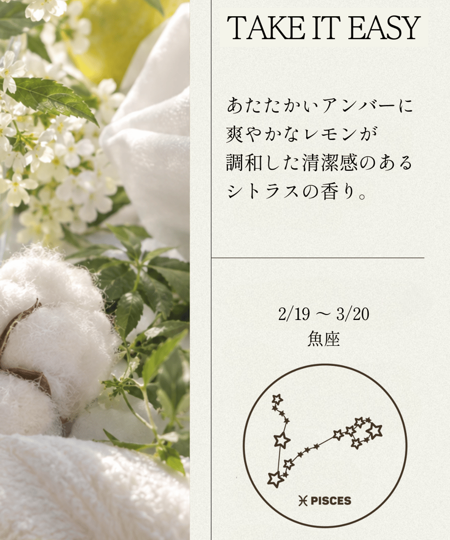 6853a86a463f6000010c2924