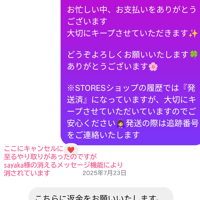 sayaka様・2025年7/4・7/13精算済・7/4 のみお支払い→全キャンセルをご希望→返金済→詳細は説明欄