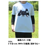 第7弾！IRBJオリジナルTシャツーオオワシの成長ー