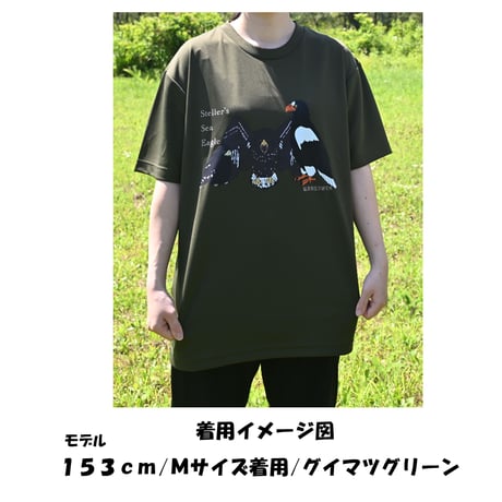 第7弾！IRBJオリジナルTシャツーオオワシの成長ー