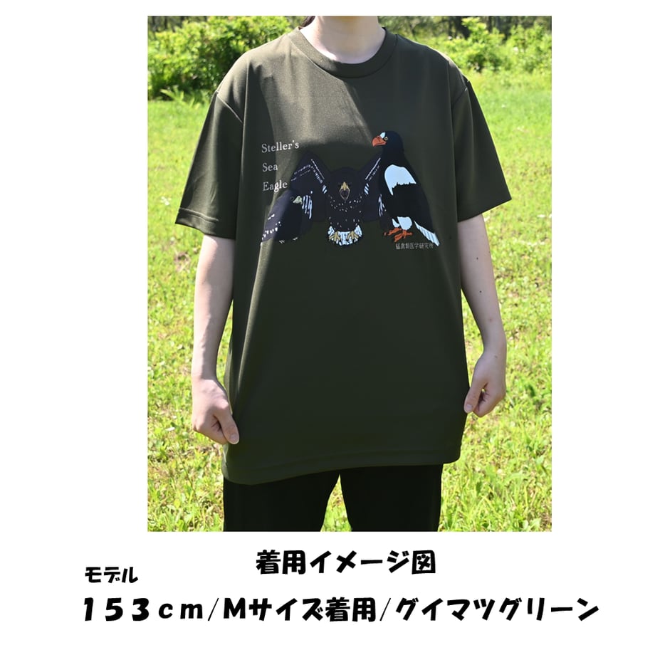 6a34df4fa39907006fc35dfc