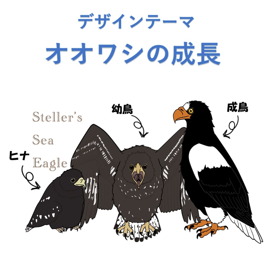 6a34df4fa39907006fc35dfc
