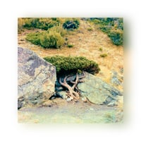 14 - Mount Cook National Park
