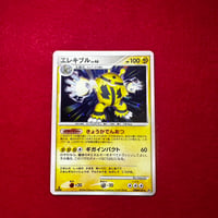 【状態特価】エレキブル　lv46