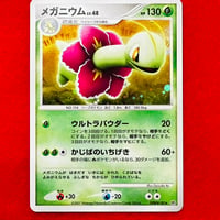 【素体】メガニウムLv.48※状態特価