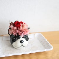 FLOWER DOG