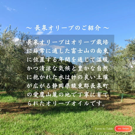 【予約受付開始！単品購入】3品種ブレンド☆2026年秋収穫 静岡県産 手摘みオリーブオイル 100ml ☆ Fontana di oliva（オリーブの泉）