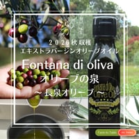 【予約受付開始！4本セット】2026年秋収穫 静岡県産 手摘みオリーブオイル 100ml ☆ Fontana di oliva（オリーブの泉）5品種ブレンド