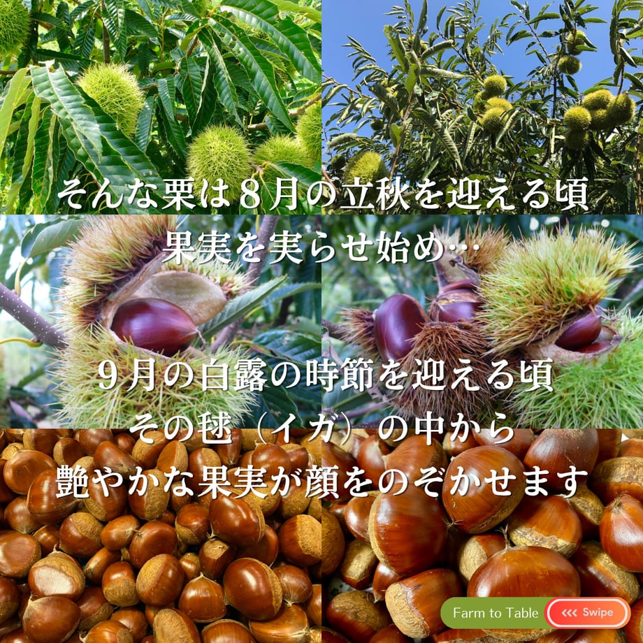 6a9d90cfb363bc74c707da82