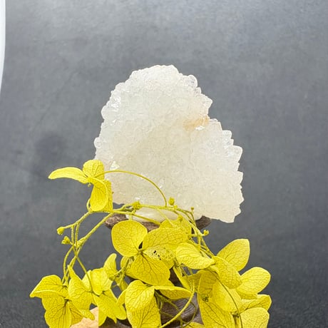 〜結晶の花畑〜アナンダライトクラスター