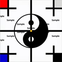 太極図の現代アート