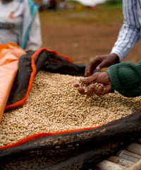 Ethiopia Sidama Washd【中深煎り】200g