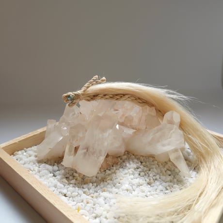 精麻│愛龍蛇〜mederyujya〜