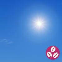 05 あっぱれ【豆100g】