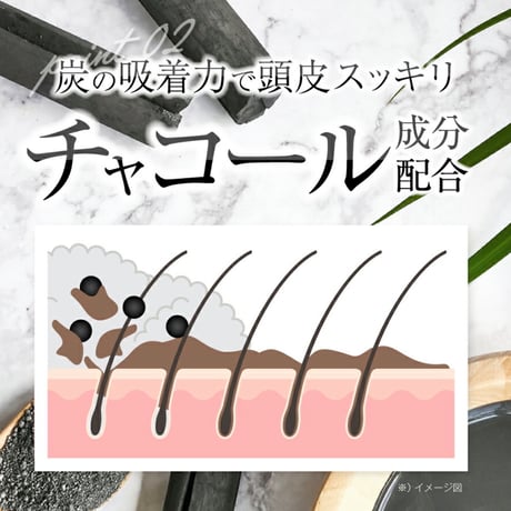 C-GRAY（シーグレイ）カラーケアスパークリング炭酸シャンプー