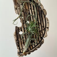 陶芸家保田修作　陶板粉引鎬　エアプランツ