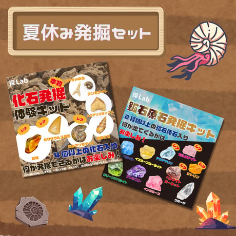 隕石 セット 標本 夏休み 自由研究 Amazon.co.jp: アーテック(Artec