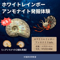 【科学教室】ホワイトレインボーアンモナイト発掘体験 7月26日(日)9:30〜