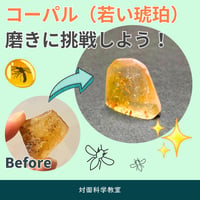【科学教室】コーパル磨き体験 7月26日(日)10:30〜