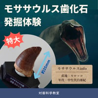 【科学教室】特大モササウルス発掘体験 7月19日(日)9:30〜