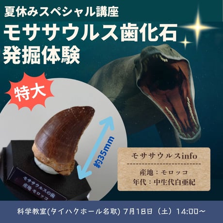 【科学教室】特大モササウルス発掘体験 7月18日(土)14:00〜