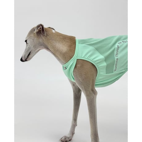 26S/S Cool Run Sleeveless MINT
