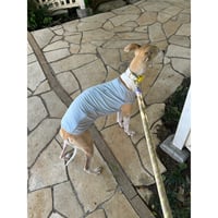 26S/S Anti Bug Cool Touch Tank Top SKY