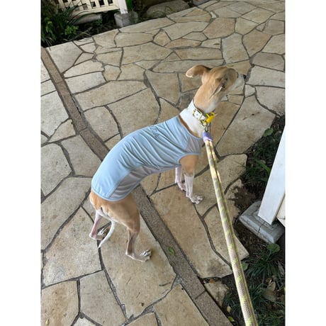 26S/S Anti Bug Cool Touch Tank Top SKY
