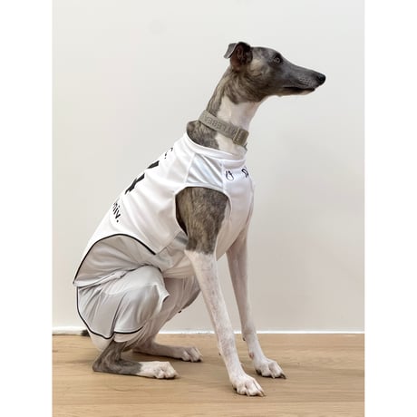 OTTO University Basketball Uniform SET UP SILVER WHITE
