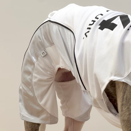 OTTO University Basketball Uniform SET UP SILVER WHITE