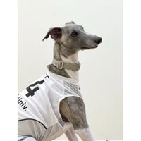 OTTO University Basketball Uniform SET UP SILVER WHITE