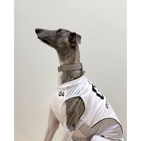 OTTO University Basketball Uniform SET UP SILVER WHITE