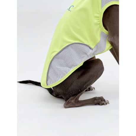 26S/S Anti Bug Cool Touch Tank Top LEMON