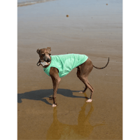 26S/S Cool Run Sleeveless MINT