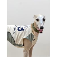 OTTO University Basketball Uniform SET UP MINT