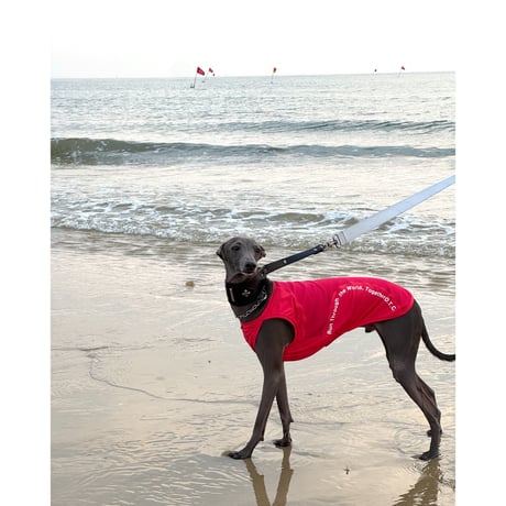 26S/S Cool Run Sleeveless MARINE