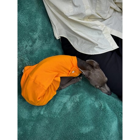 26S/S Summer OTC Point Sweatpants ORANGE