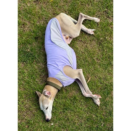 26S/S Anti Bug Cool Touch Tank Top GRAPE