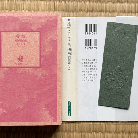 絵付文庫（古本）『猫楠　南方熊楠の生涯　水木しげる』