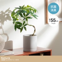 【高さ55cm】光触媒人工観葉植物 パキラ 幅35cm×奥行35cm×高さ55cm コンパクト 天然木 お部屋に気軽に飾れて空間を美しく彩るフェイクグリーン 本物の植物のようなリアルな質感とインテリ
