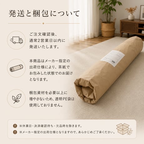 ラグ カーペット サリオ アイボリー ベージュ 190×240 綿混 コットン 洗濯機OK HOT対応 床暖房対応 防ダニ 抗菌 防臭 リビング
