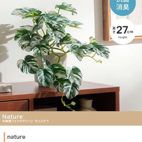 【高さ27cm】光触媒人工観葉植物 モンステラ 幅35cm×奥行45cm×高さ27cm コンパクト 天然木 お部屋に気軽に飾れて空間を美しく彩るフェイクグリーン 本物の植物のようなリアルな質感とイン