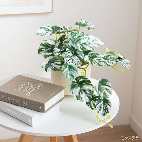 【高さ27cm】光触媒人工観葉植物 モンステラ 幅35cm×奥行45cm×高さ27cm コンパクト 天然木 お部屋に気軽に飾れて空間を美しく彩るフェイクグリーン 本物の植物のようなリアルな質感とイン