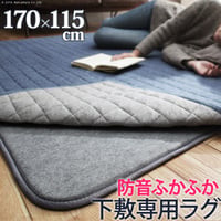 ラグ 下敷き 厚手 防音ふかふか下敷専用ラグ 〔ふかピタ〕 170x115cm (1.5畳用) 長方形 ふっくら カーペット ラグマット 洗える 床暖房 ホットカーペット対応 リビング 滑り止め スミ